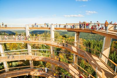 Treetop Walk Black Forest