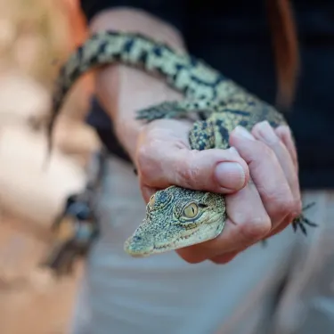 Crocoloco Crocodile Farm