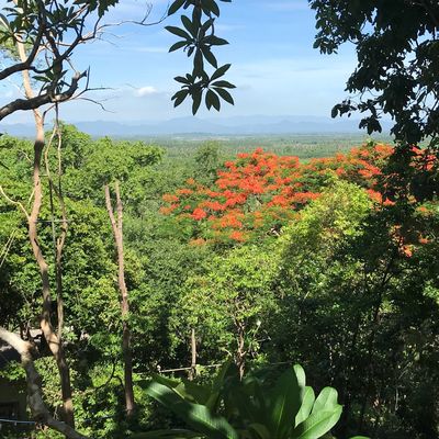 Wat Khao Takrao Luang Pho Thong 5 Phi Nong