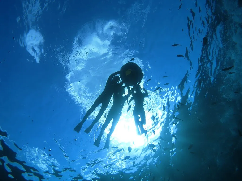 3_Takedive