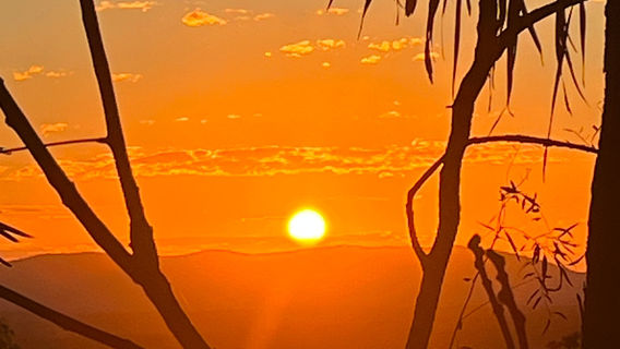 Horizons Kangaroo Sanctuary - Camp Ground