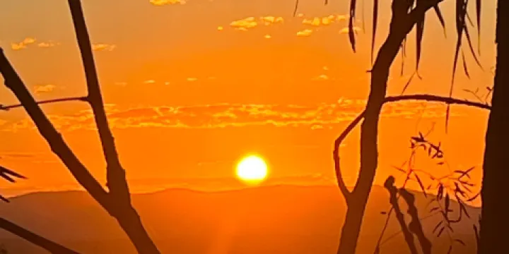 Horizons Kangaroo Sanctuary