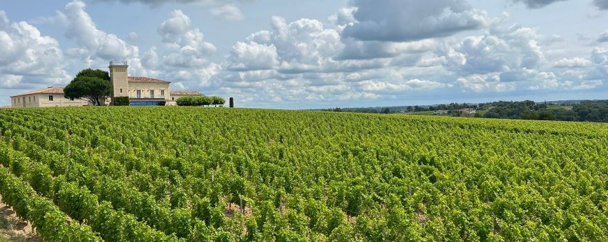 Chateau Troplong Mondot