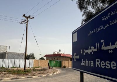الجهراء