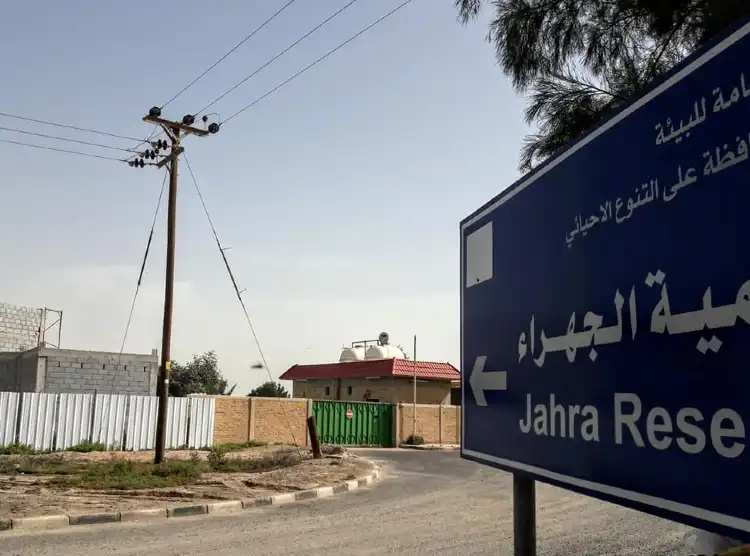 Hotels near Jahra Nature Reserve