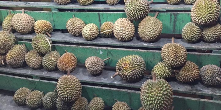 Rumah Durian Radit
