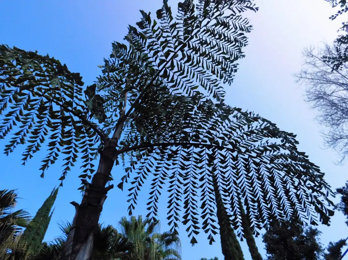 Các khách sạn gần Sadie Seymour Botanical Gardens