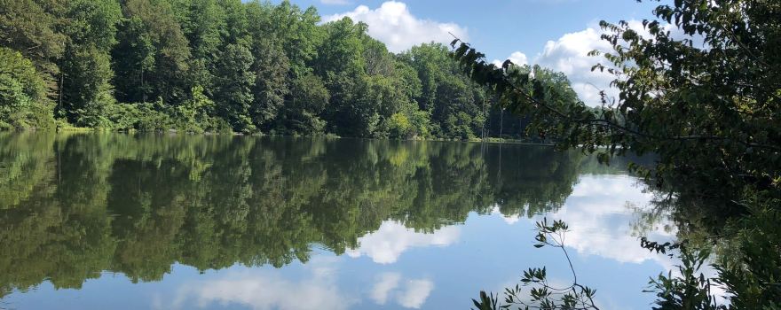 Beaverdam Park