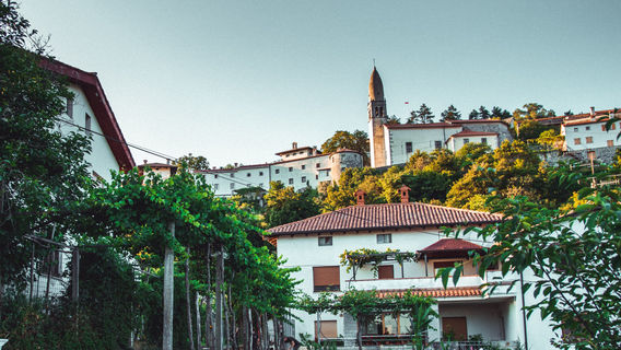 Vina Kobal / Štanjel, Kobal Family Estate