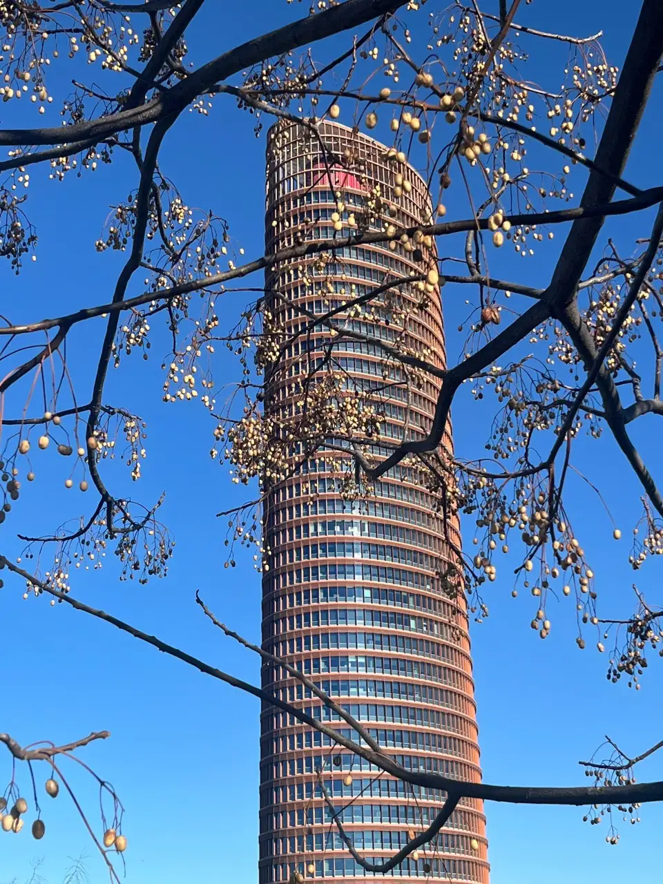 5_Cajasol Tower