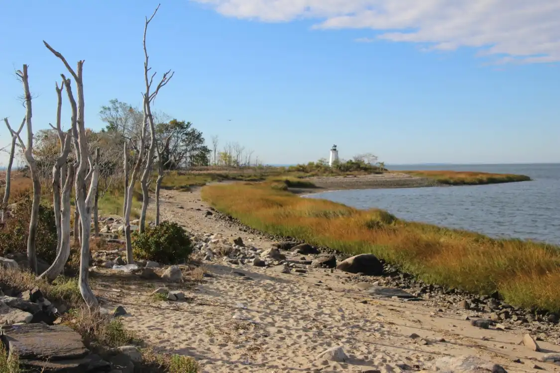 Hotels near Fayerweather Island Light