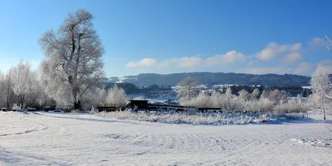 Naturstation Silberweide