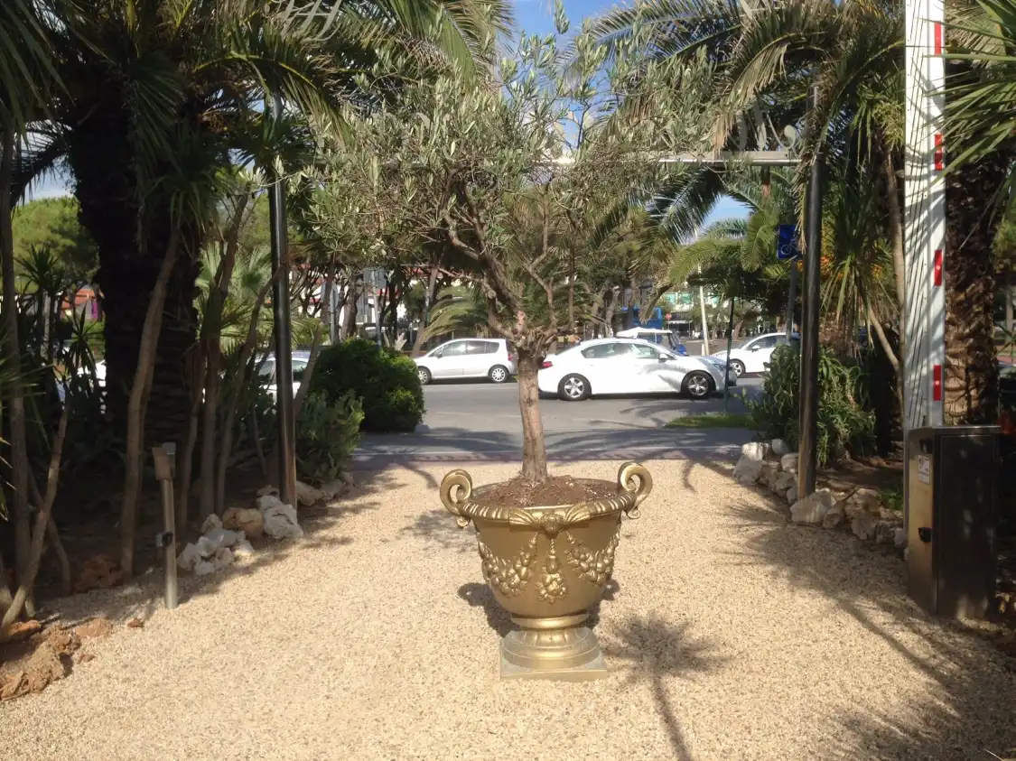 Hotels near Bagno Minerva