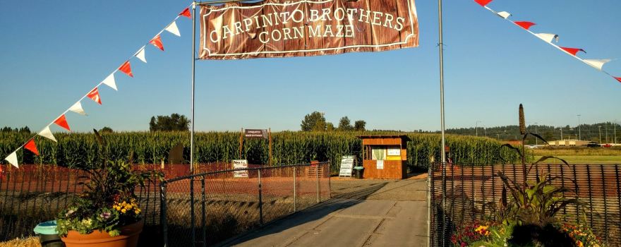 Carpinito Bros Pumpkin Patch & Corn Maze