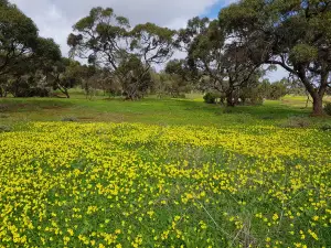 Cobbler Creek Recreation Park