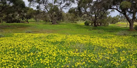 Cobbler Creek Recreation Park