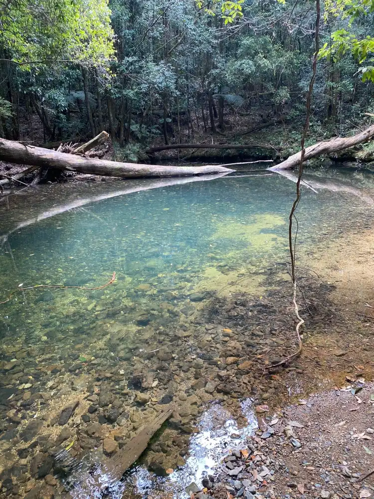 Upper Orara