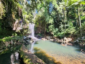 Tamborine National Park