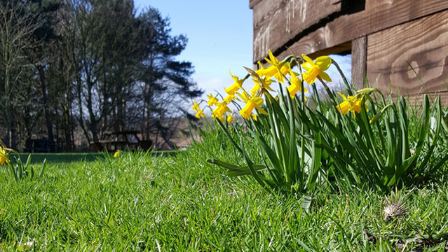 Bulwell Forest Garden