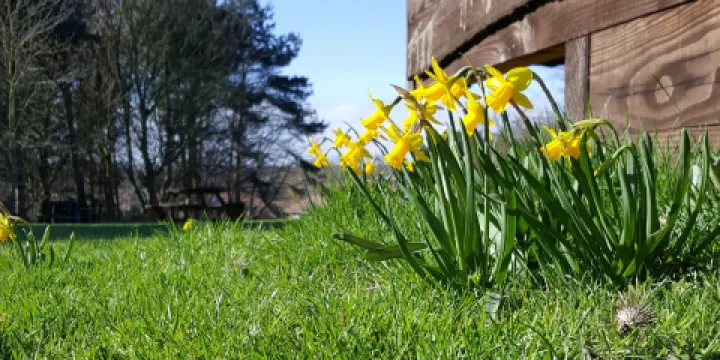 Bulwell Forest Garden