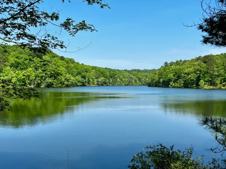 Tuscaloosa County