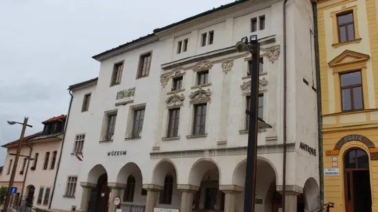 Spis Museum