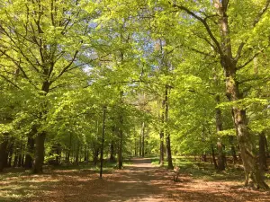Annelundsparken