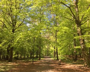 香港-布羅斯 機票酒店 自由行
