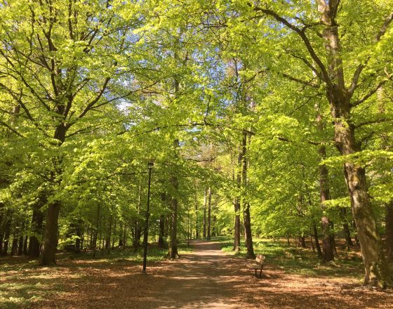 布羅斯 自由行套票