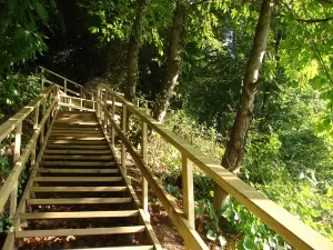 Kuskayasi Yol Aniti