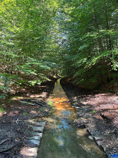 Loenense waterval