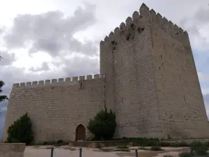 Castillo de Monzon de Campos