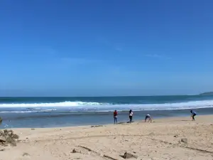 Ujung Genteng Turtle Conservation