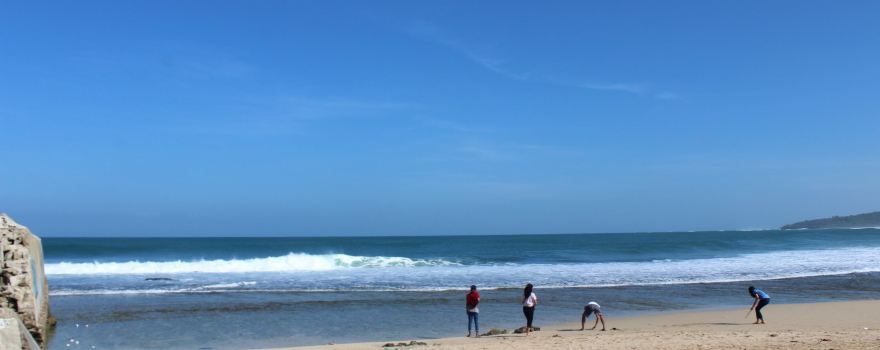 Ujung Genteng Turtle Conservation