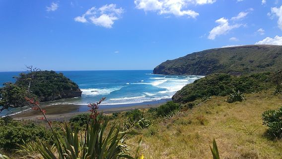 Muriwai