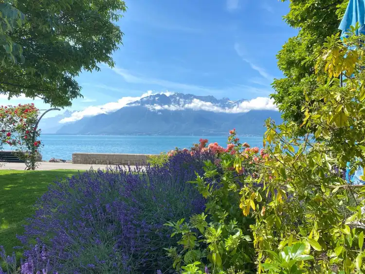 Riviera-Pays-d'Enhaut District
