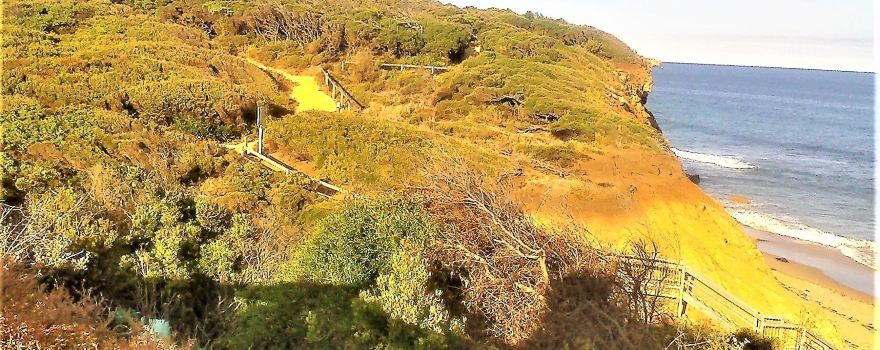 Sandy Gully Beach