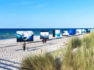 Seebrucke Zingst
