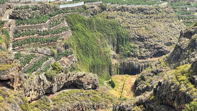 Parque Arqueologico Tendal