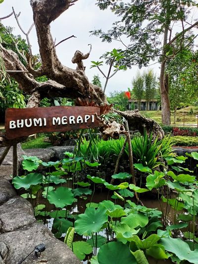 Agro Tourism Bhumi Merapi