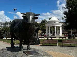 Plaza De Armas