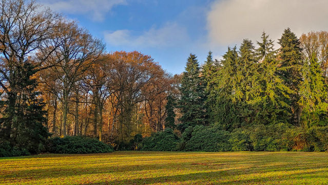 Philips De Jongh Park