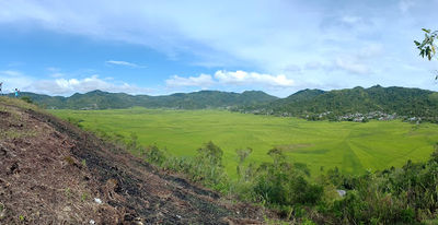 Cancar rice terrace