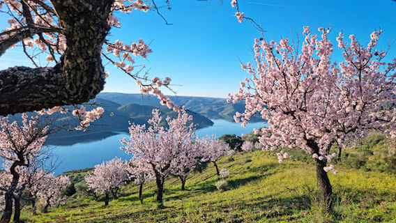 Miradouro de São Lourenço