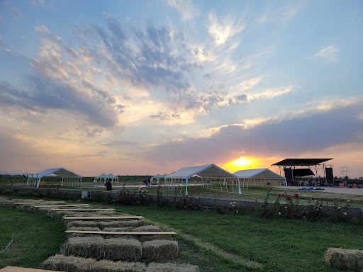 Виноградник Arba Wine