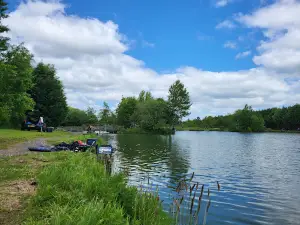 Wold View Country Park