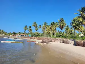 Mangue Seco