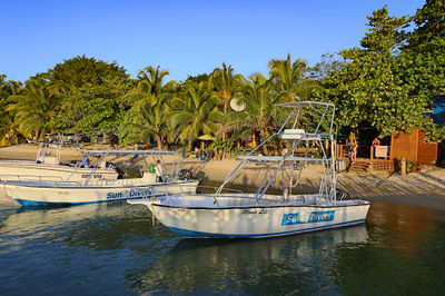 Sun Divers Roatan