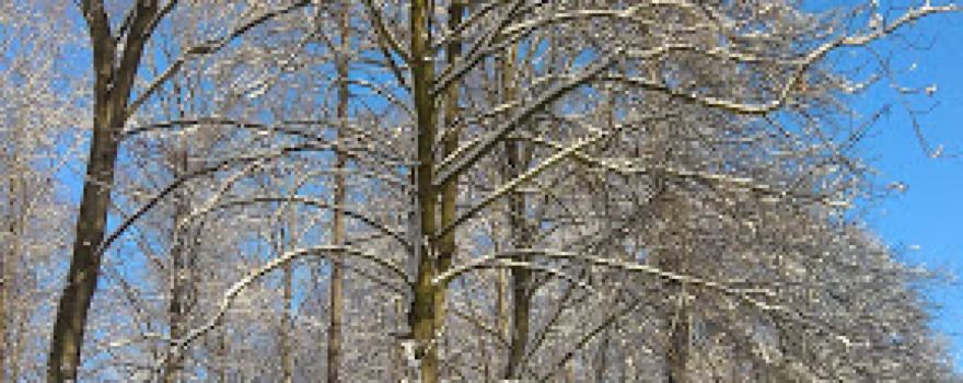 Alte Taufe