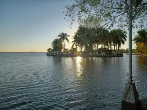 Paseo Los Sauces